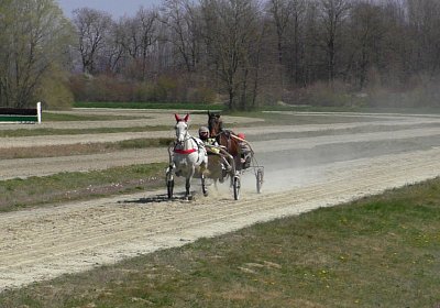 Avenches Training 01 04 2020 F S4150096 Vento Chevy