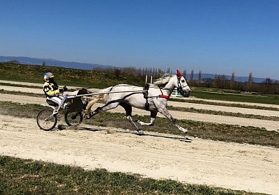 Avenches Training 01 04 2020 G IMG 9013 Vento
