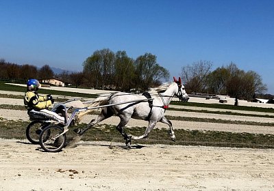 Avenches Training 01 04 2020 G IMG 9018 Vento