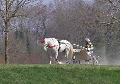 Avenches Training 01 04 2020 H S4150099 Vento