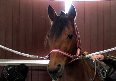 Avenches Training 01 04 2020 J S4150112 Rebus