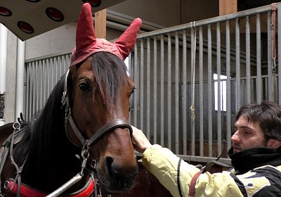 Avenches Training 01 04 2020 J S4150115 Vessillo