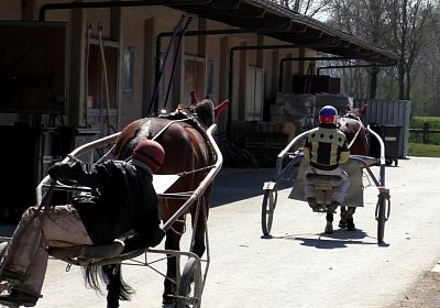 Avenches Training 01 04 2020 J S4150118 Vessilo Rebus