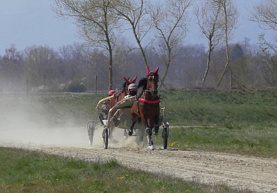Avenches Training 01 04 2020 J S4150136 Vessilo Rebus