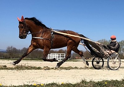 Avenches Training 01 04 2020 K IMG 9044 Rebus