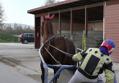 Avenches Training 09 04 2020 A S4170024 Ulysse