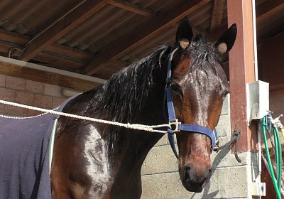 Avenches Training 09 04 2020 B S4170105 Hope