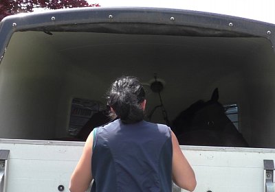 S4260044