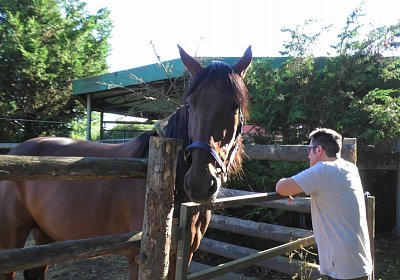 Arcadia Semola Aug2020 S4460101