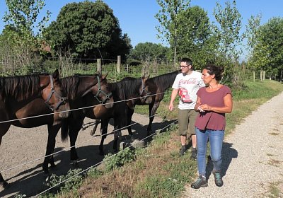 Arcadia Semola Aug2020 S4460105