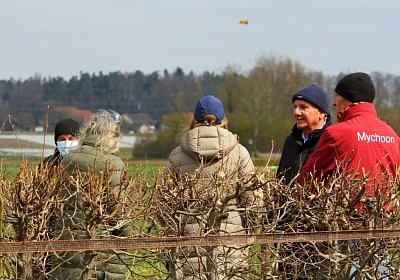 Candalex 03 04 21 DSC09211