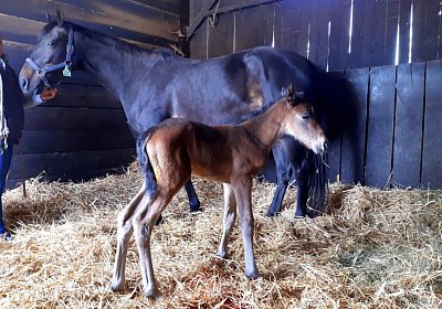 2021 04 26 La Formidable 2