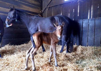 2021 04 26 La Formidable