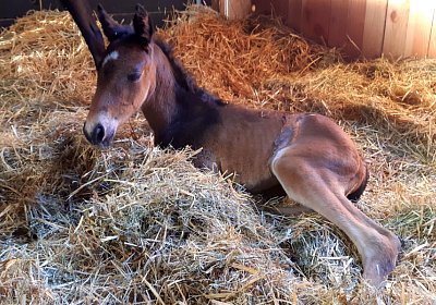 2021 04 27 Laformidable 1