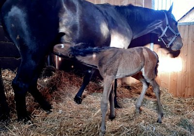 2021 04 27 Laformidable 4