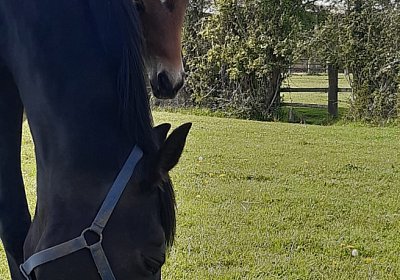 2021 05 03 La Formidable 2