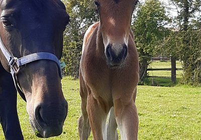 2021 05 03 La Formidable 8