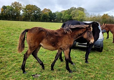 2021 10 29 La Formidable 1