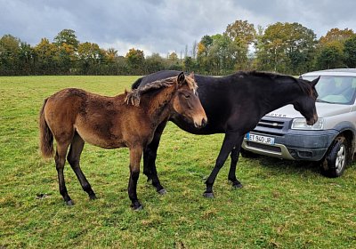 2021 10 29 La Formidable 2