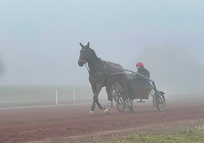 Avenches Training 28-29jan2022 IMG 4079 Ina