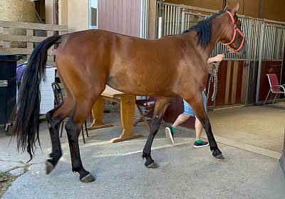 Divina Ankunft 2022 07IMG 5126