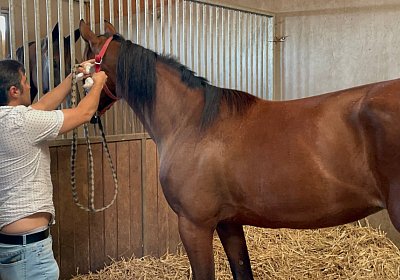 Divina Ankunft 2022 07IMG 5128