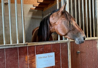 Divina Ankunft 2022 07IMG 5145