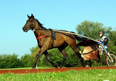 Av 2022 07 24 Training nv 02 12 black jack