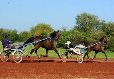 Av 2022 07 24 Training nv 02 30 black jack jack scott
