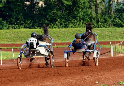 Av 2022 07 24 Training nv 02 37 black jack jack scott