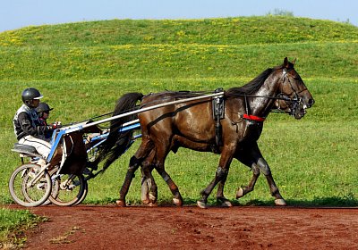 Av 2022 07 24 Training nv 02 38 black jack jack scott