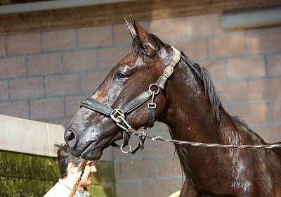Av 2022 07 24 Training nv 02 49 black jack