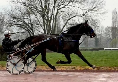 2024 03 21 Av IMG 6557 Midnight