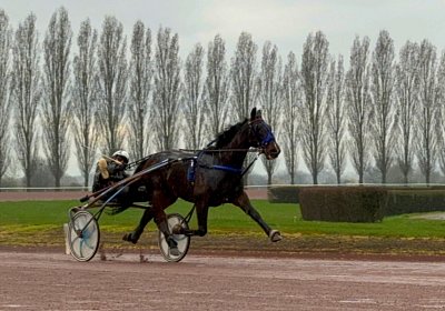 2024 03 21 Av IMG 6565 Midnight