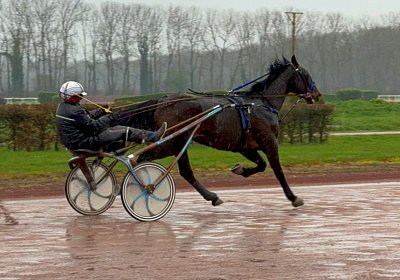 2024 03 21 Av IMG 6580 Midnight