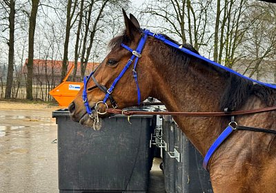 2024 03 21 Av IMG 6604 La Formidable