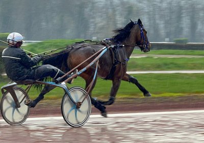 2024 03 21 Av IMG 6643 La Formidable