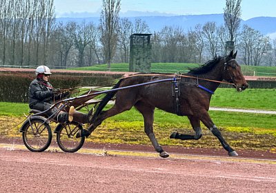 2024 03 21 Av IMG 6657 Noon