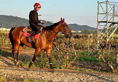 2024 07 20 Cuarto IMG 4912 Cuarto