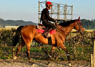 2024 07 20 Cuarto IMG 4916 Cuarto