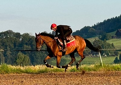 2024 07 20 Cuarto IMG 4930 Cuarto