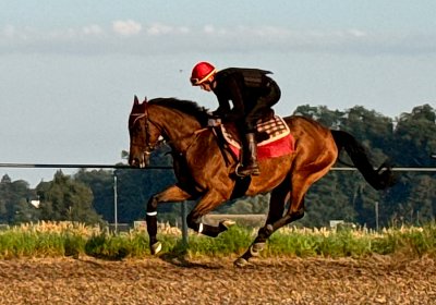 2024 07 20 Cuarto IMG 4932 Cuarto