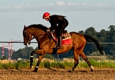 2024 07 20 Cuarto IMG 4933 Cuarto