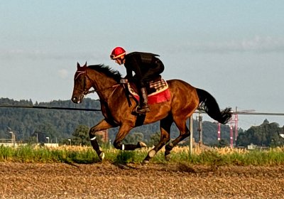 2024 07 20 Cuarto IMG 4934 Cuarto