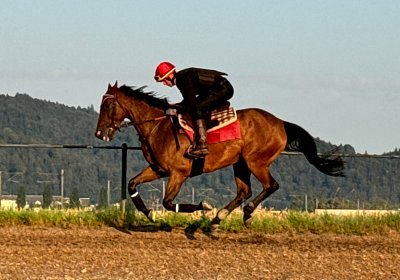 2024 07 20 Cuarto IMG 4936 Cuarto