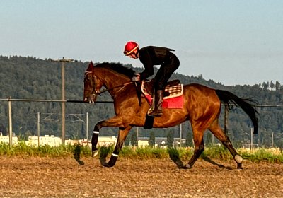 2024 07 20 Cuarto IMG 4937 Cuarto