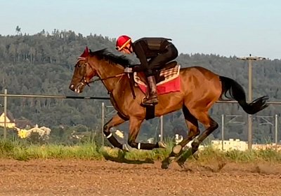 2024 07 20 Cuarto IMG 4940 Cuarto