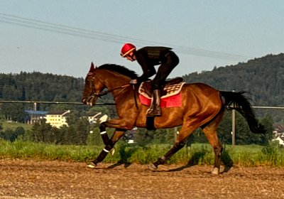 2024 07 20 Cuarto IMG 4941 Cuarto