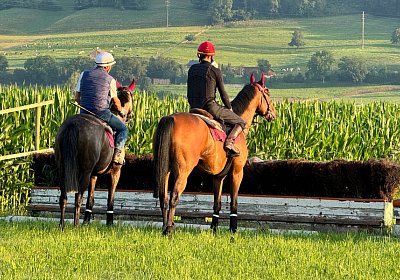 2024 07 20 Cuarto IMG 4953 Cuarto