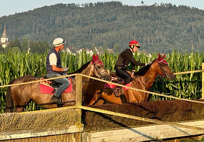 2024 07 20 Cuarto IMG 4967 Cuarto